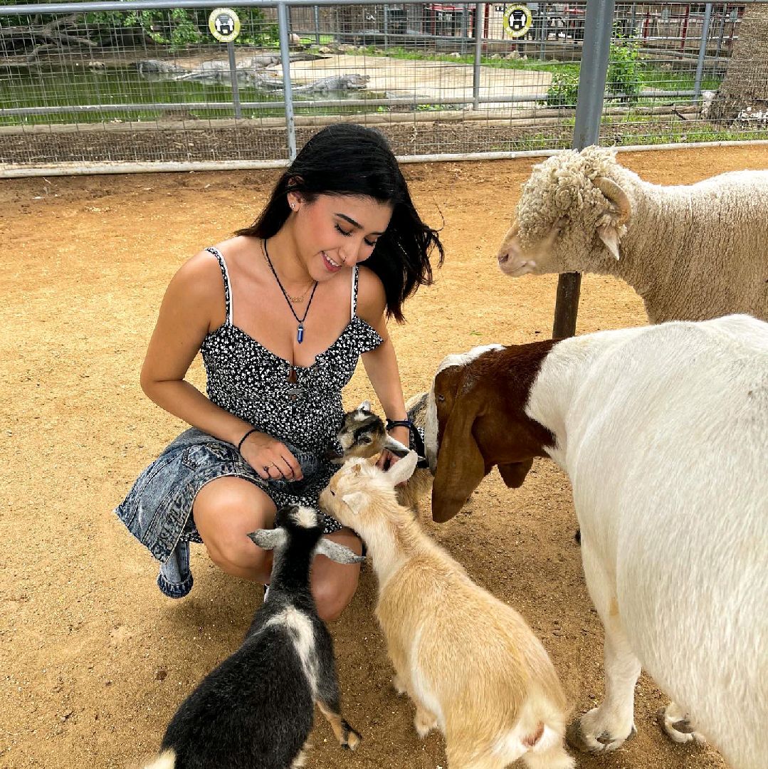 Animal World and Snake Farm Zoo New Braunfels Travelogues Animal World and Snake Farm Zoo New Braunfels Travelogues