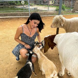 動物世界與蛇園動物園