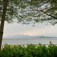海景飲茶