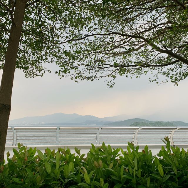 海景飲茶