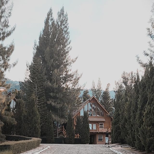 มากกว่า มาภูเขา คือมาพักใจ ทอสคาน่า วัลเลย์🏞