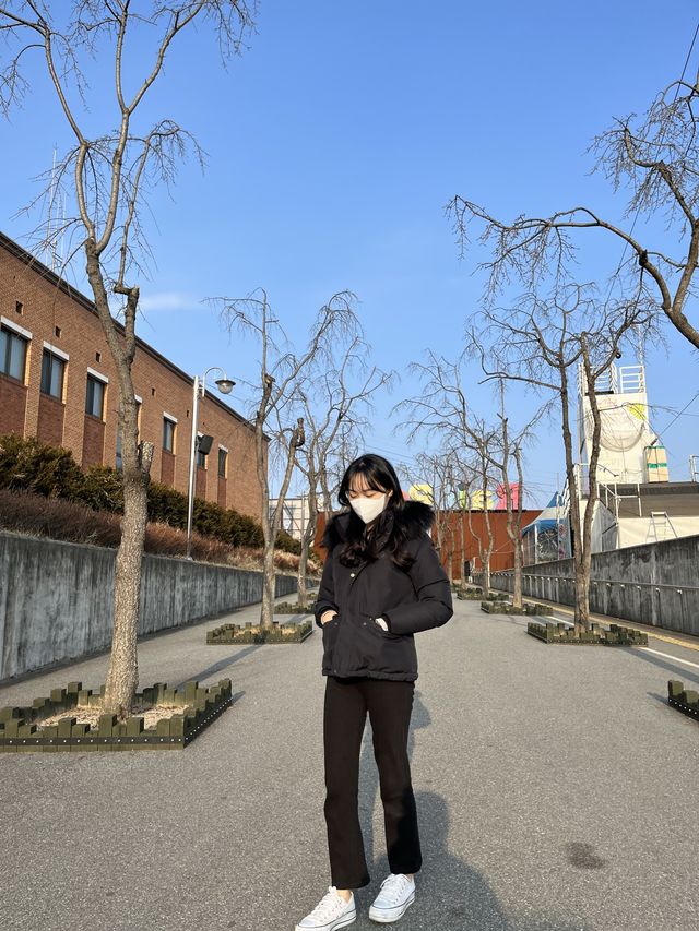 춘천 액티비티 추천 :: 강촌레일파크 김유정레일바이크