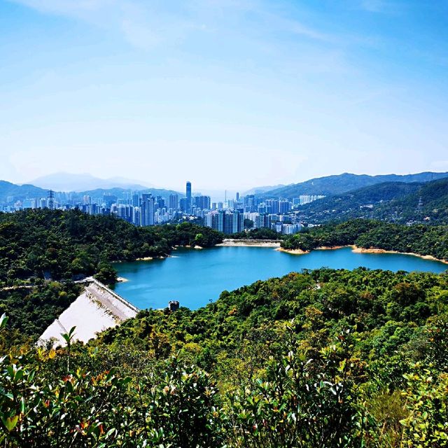 針山