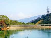再遊河背水塘