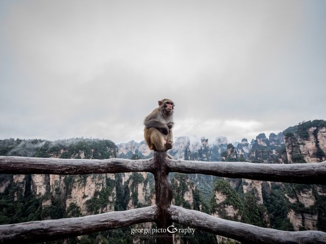 Zhangjiajie of Hunan