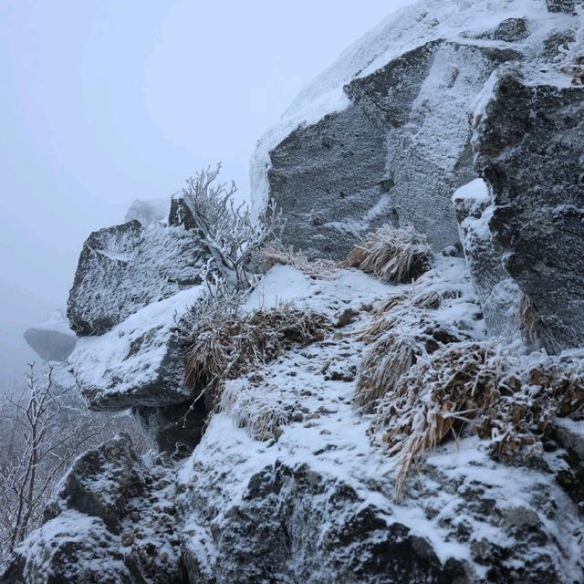무주 덕유산 곤도라 타고 눈꽃구경!