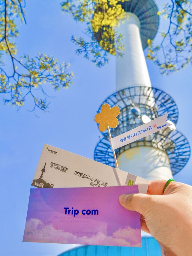 벚꽃엔딩은 이 곳에서, 남산 전망대🗼