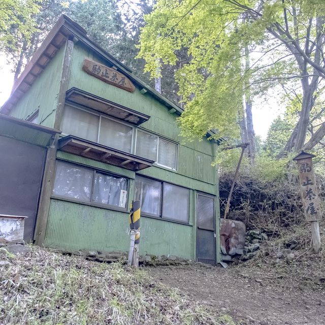 大倉尾根の昔の茶屋の様子