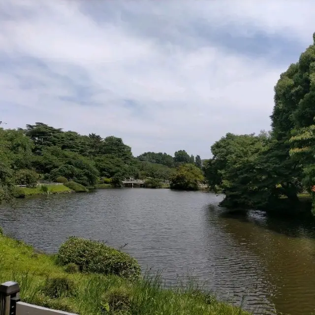 夏の新宿御苑