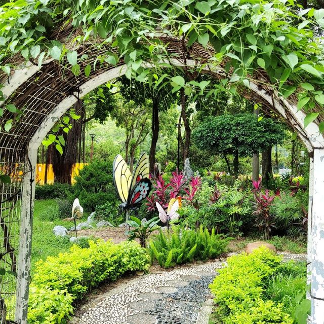 圍封多時，休養生息後的公園及海灘