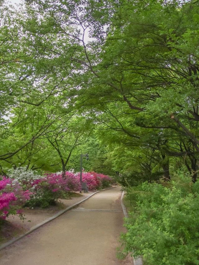서울 데이트코스 추천, 창경궁