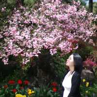 파주 벽초지수목원 신화 컨셉의 수목원 🌼