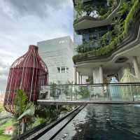 Jungle Hotel Lifestyle Room 