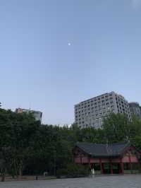 🌃밤에 더욱 빛나는 도심속 낭만 여행, 단돈 1000원에 즐기는 방법✨