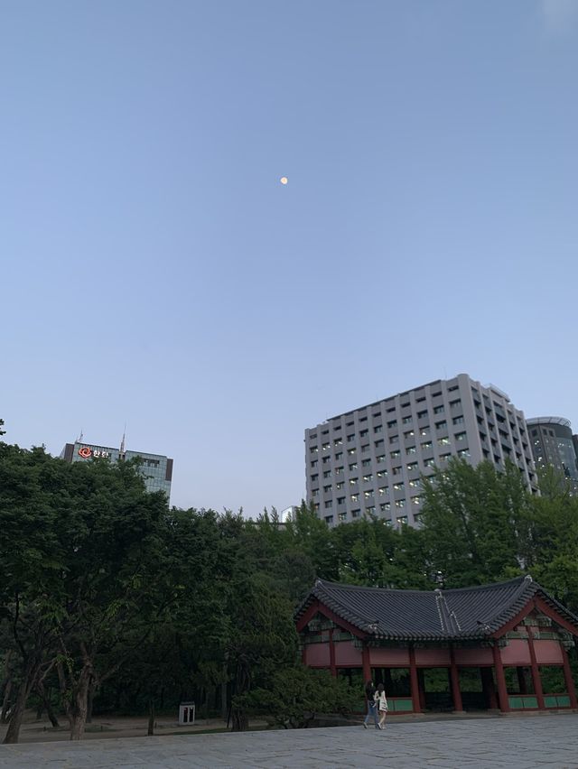 🌃밤에 더욱 빛나는 도심속 낭만 여행, 단돈 1000원에 즐기는 방법✨