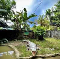 Jong's crocodile farm 🐊