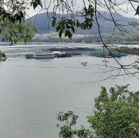 Penang National Park