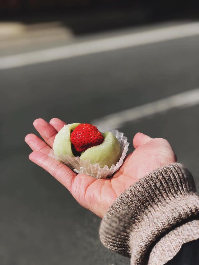 JAPAN | ญี่ปุ่น . 🎌🏯🍣