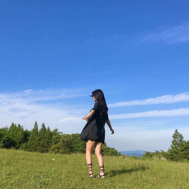 [경북/경주]경주에서 인생샷과 피크닉을 한 번에!❣️