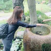 東京九大庭園之一 「清澄庭園」