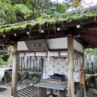 【京都】玉の輿と言えばこちら