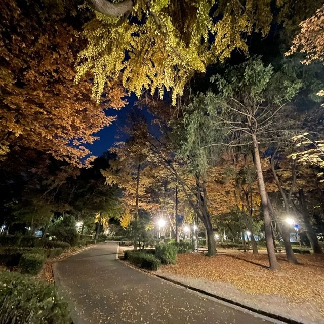 서울 도산공원