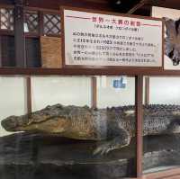 鬼山地獄〜大分•別府