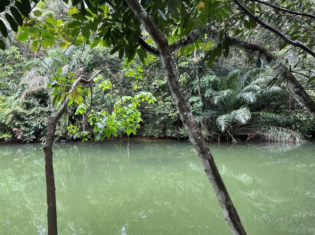 Come Explore Lower Peirce Reservior 