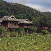 หลองข้าวสะเมิง บ้านพักบรรยากาศดี ในอ้อมกอดขุนเขา