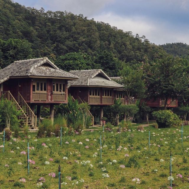 หลองข้าวสะเมิง บ้านพักบรรยากาศดี ในอ้อมกอดขุนเขา