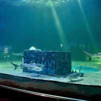 Sea World Ancol
