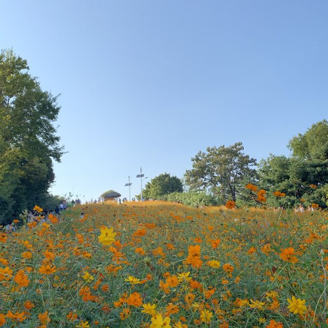 가을엔 올림픽공원
