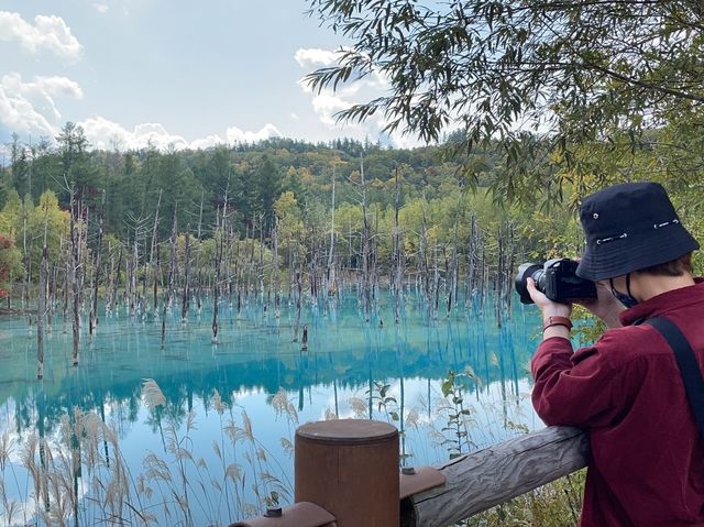 【北海道】青い池