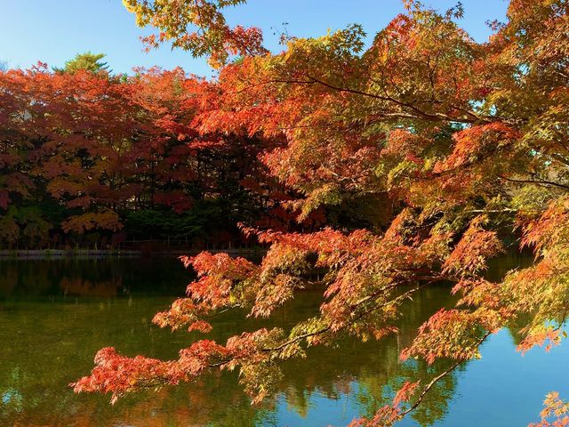 【軽井沢】軽井沢を代表するスポット