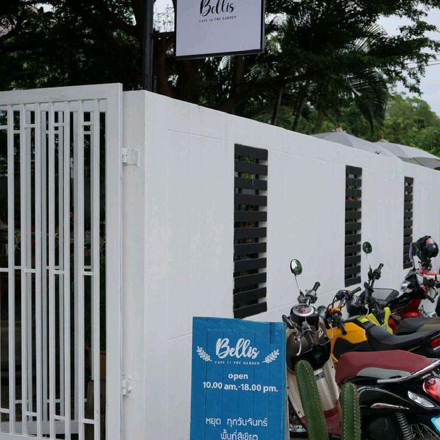 Bellis cafe in the garden 