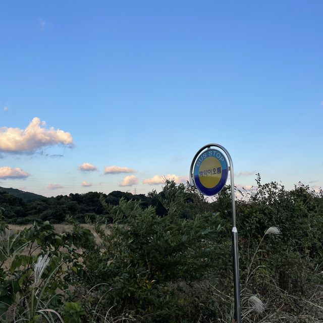제주 10월 동쪽 여행 ‘백약이 오름’ 제주 10월 동쪽 여행 ‘백약이 오름’