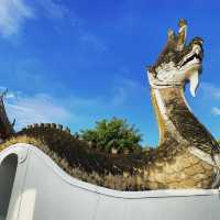 มุมเด็ดพระอาทิตย์ขึ้น ที่วัดภูมินทร์ 