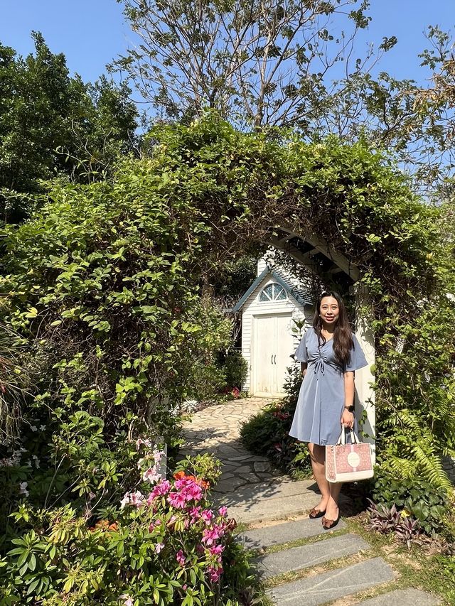 荔枝角隱世愛麗絲花園🏠附前往方法✨