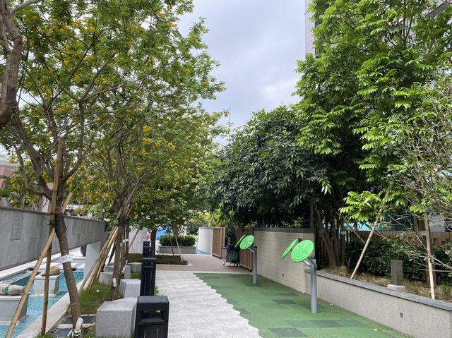 黃花盛放|深水埗北河街公眾休憩空間 黃花盛放|深水埗北河街公眾休憩空間