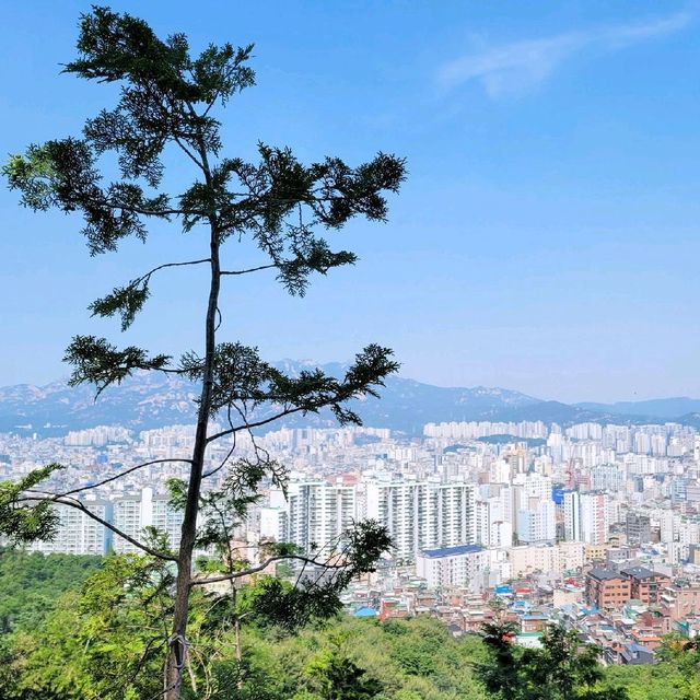 등린이가 가기 좋은 등산코스 '봉산, 앵봉산'