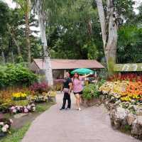อลังการสวนดอกไม้ในเมืองเชียงใหม่