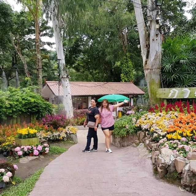 อลังการสวนดอกไม้ในเมืองเชียงใหม่