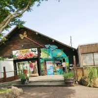 姫路セントラルパーク　昔ながらの遊園地