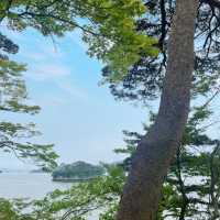 美味しい！綺麗！仙台・松島旅！