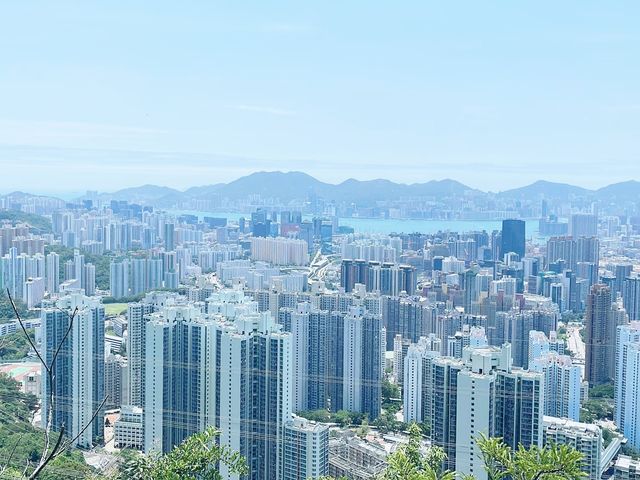 札山觀景台