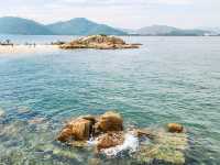 坪洲環島遊