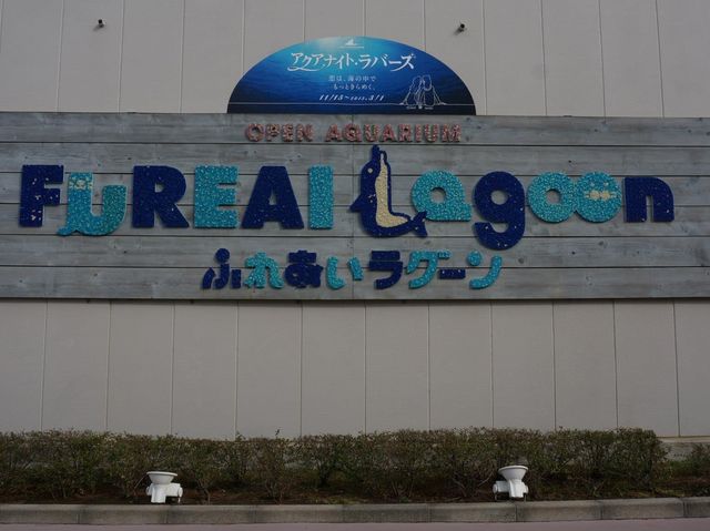 親子好去處必去➡️橫濱八景島海島樂園😆😆