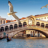 Ponte de rialto Life 🐬🐬