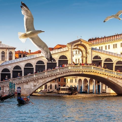 Ponte de rialto Life 🐬🐬