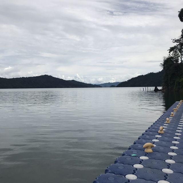 The beauty of nature!